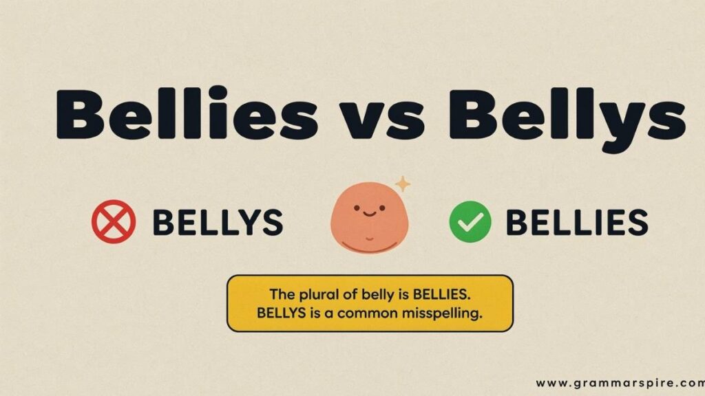 Bellies vs Bellys which one is correct