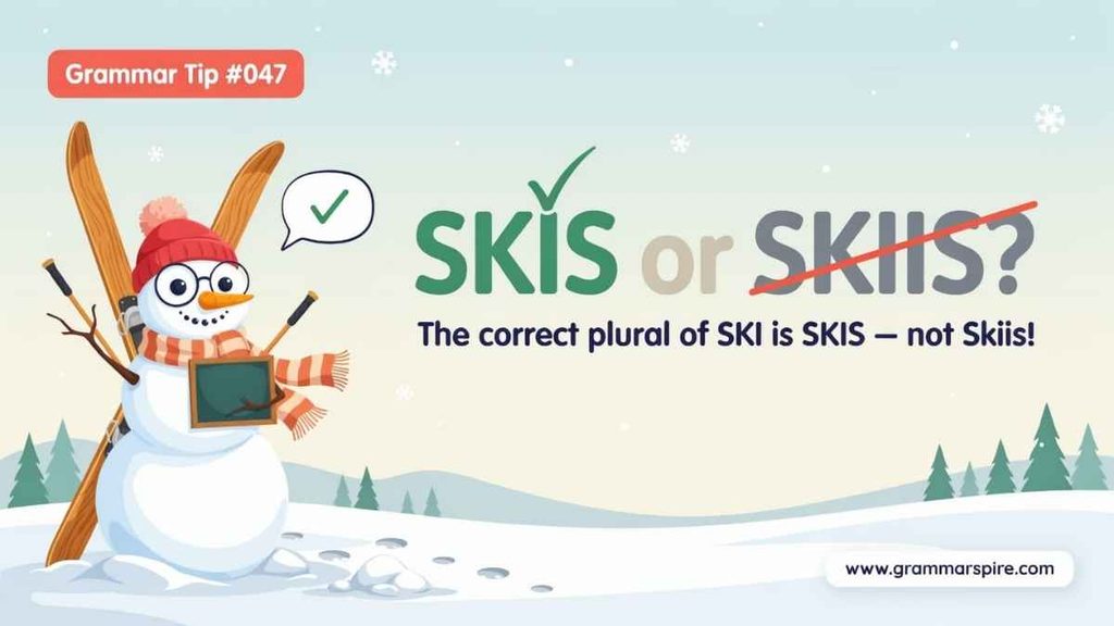 What Does Skis Mean?
