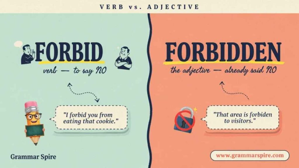 Forbid or Forbidden Which One Is Correct?