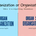 Organization or Organisation Which Spelling Is Correct?