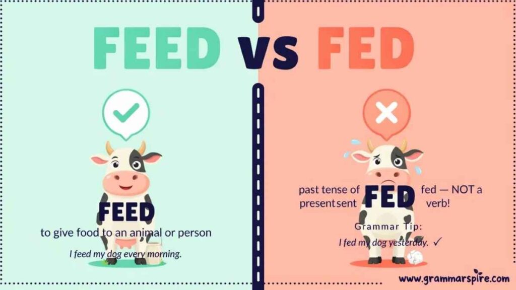 Feed vs Fed What spelling is correct?