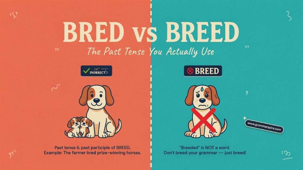 bred vs breeded in american and british english