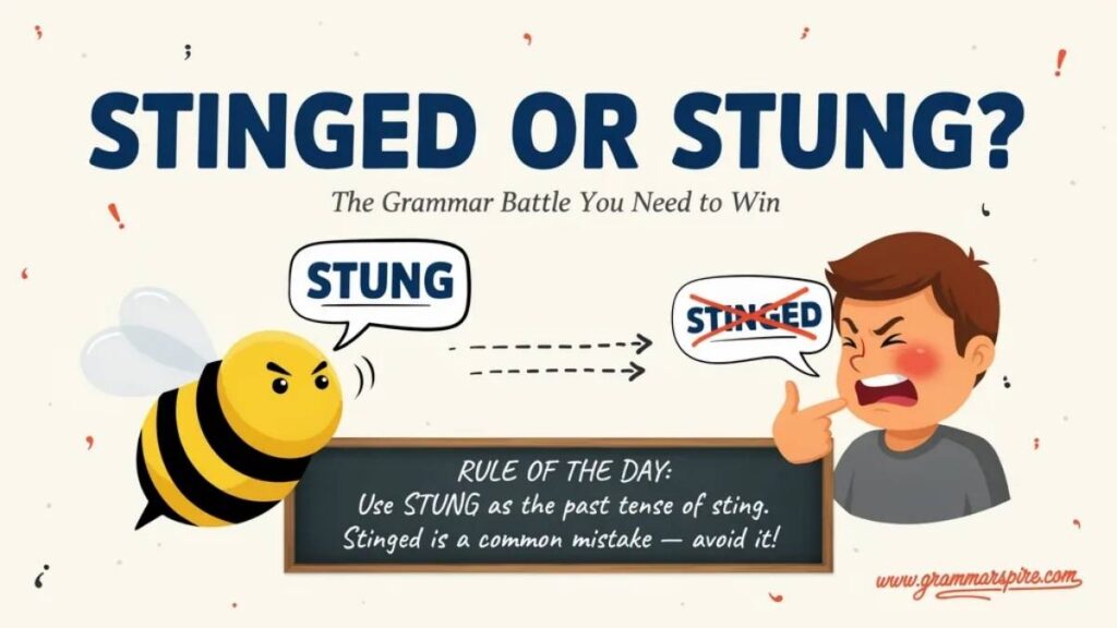 Stinged or Stung Which Is Correct?